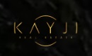 KAYJI REAL ESTATE