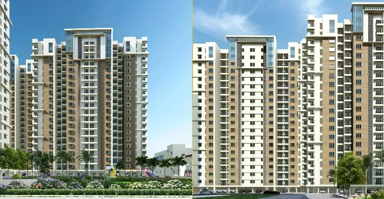 Doshi Risington 2
