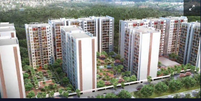 TVH Vista Heights