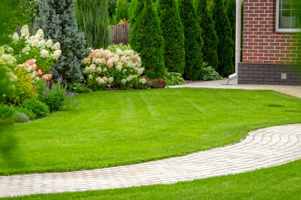 Residential Land for Sale in International Airport, Bangalore