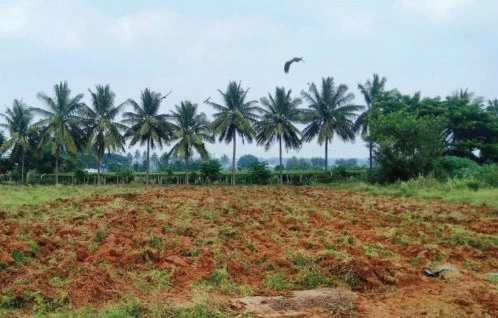 Residential Land for Sale in Devanahalli, Bangalore