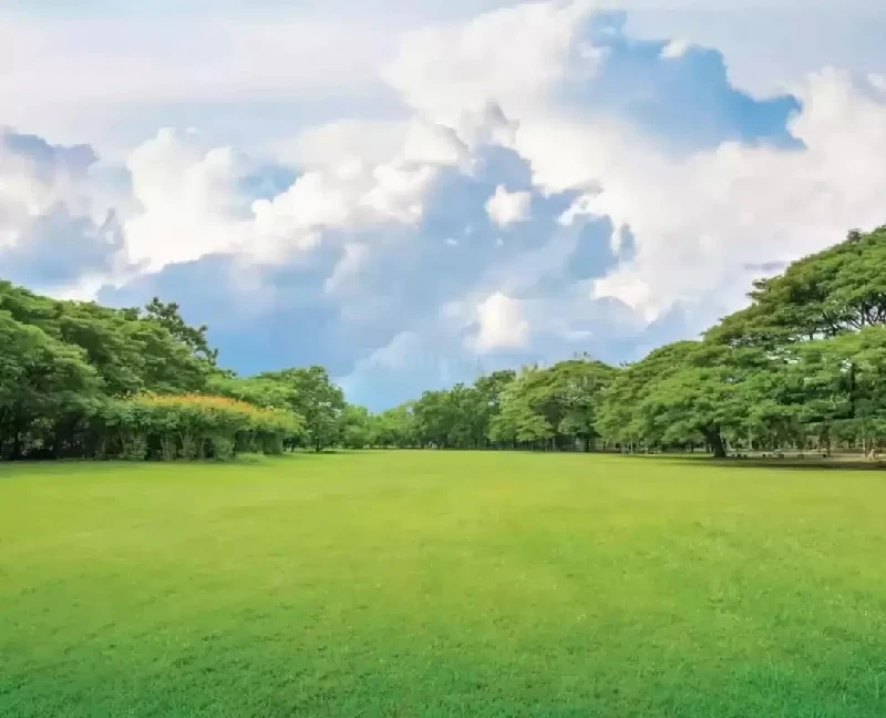 Residential Land for Sale in Lodha Codename One, Bhiwandi, Thane