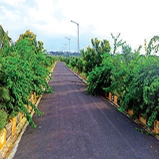 Farm House  for Sale  in Warangal, Warangal