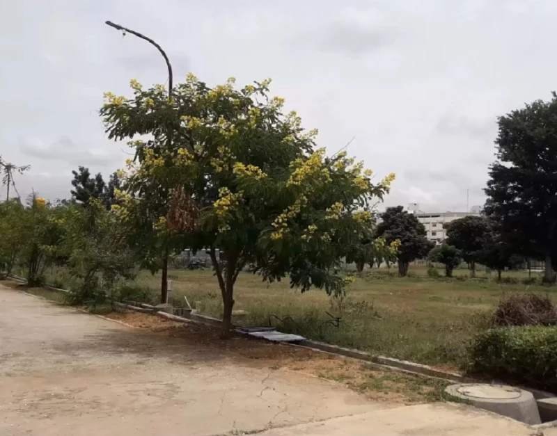 Residential Land for Sale in S2 Homes Avani , Sarjapur Road, Bangalore