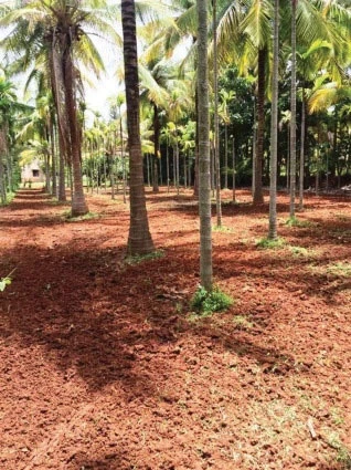 Agricultural/Farm Land  for Sale  in Tumkur Road, Bangalore
