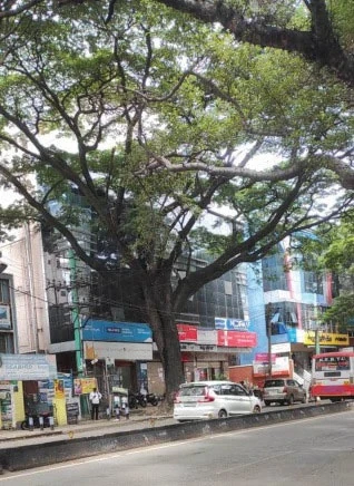 Commercial Land for Sale in Rajajinagar, Bangalore