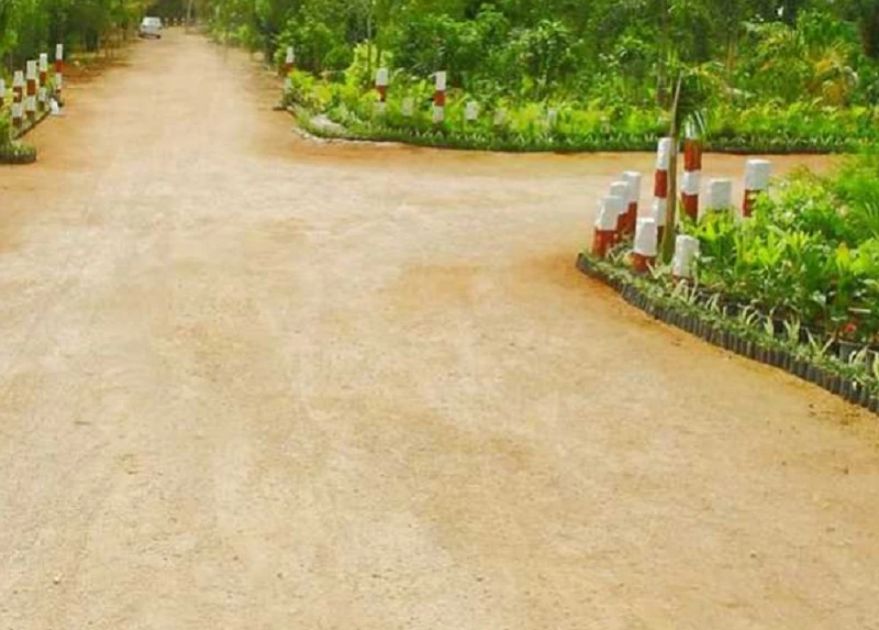 Residential Land for Sale in Muppa's Orange County, Shankarpally, Hyderabad