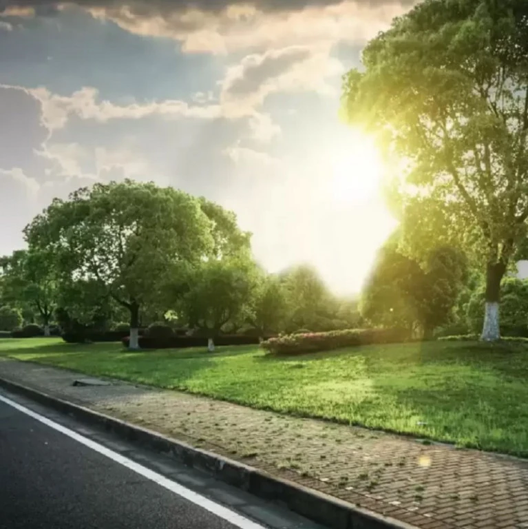 Residential Land for Sale in  S2 Homes Butterfly Gardens, Jigani, Bangalore