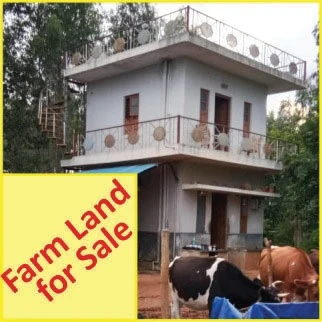 Farm House for Sale in Doddaballapura, Bangalore