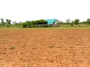 Agricultural/Farm Land for Sale in GST Road, Chennai
