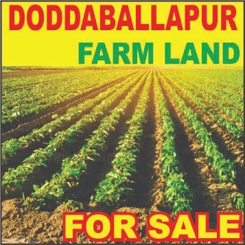 Farm House for Sale in Doddaballapur, Bangalore