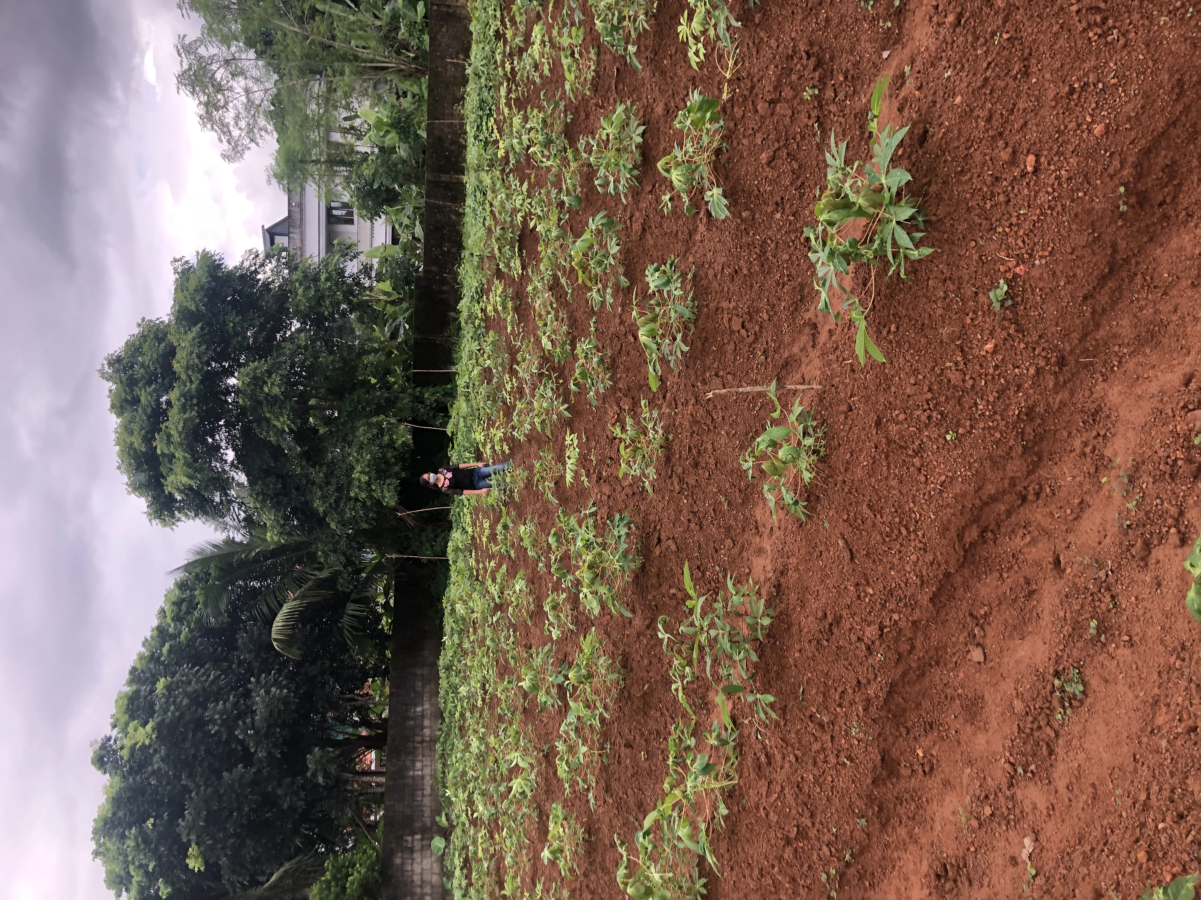 Residential Land for Sale in Independent, Manjapra, Ernakulam