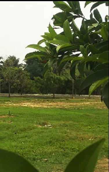 Residential Land for Sale in Ashok Nandavanam The Boatclub, ECR, Chennai