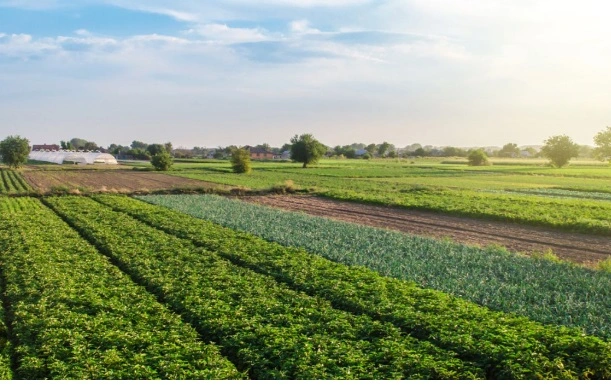 Agricultural/Farm Land for Sale in Marakkanam, Chennai