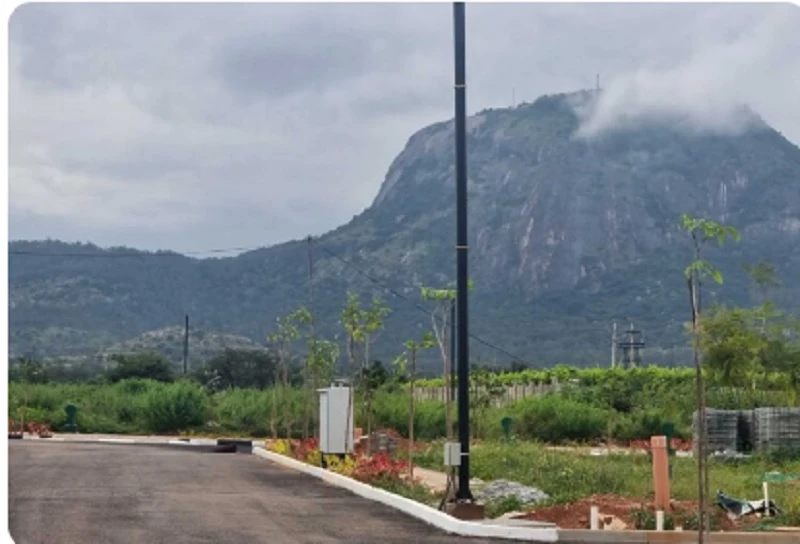 Residential Land for Sale in Sammys Palm hills, Devanahalli, Bangalore