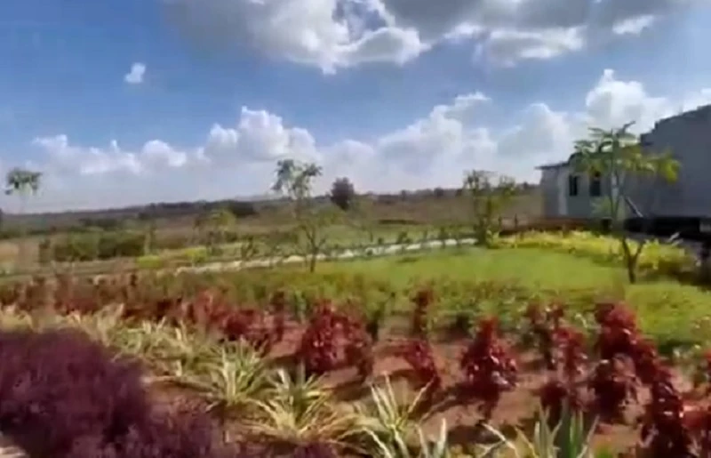 Residential Land for Sale in Brigade Oak Tree, Shyadanahalli, Mysore