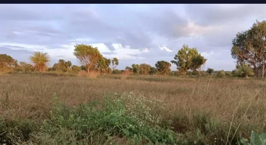 Residential Land for Sale in Total Environment Tangled Up In Green, Devanahalli, Bangalore