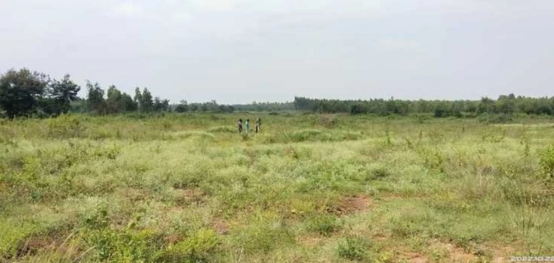 Residential Land for Sale in Concorde Equity, Malur, Bangalore