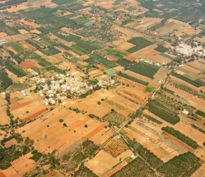 Residential Land for Sale in Shri Krishna Oasis, Budigere, Bangalore