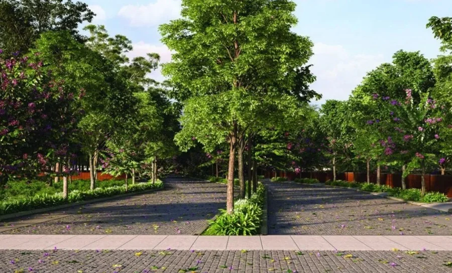 Residential Land for Sale in Total Environment Tangled Up In Green, Devanahalli, Bangalore