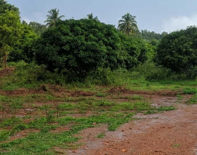 Residential Land for Sale in Concorde Elements Of Earth, Kanakapura Road, Bangalore