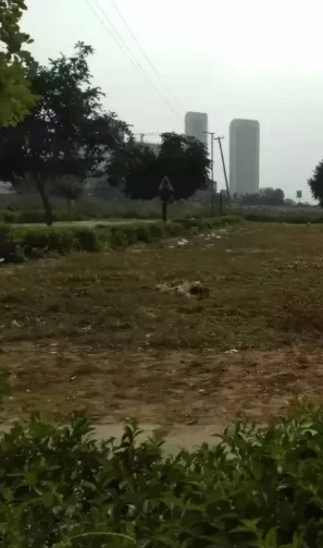 Residential Land for Sale in Vatika Plots Vatika India Next, Gurgaon Sector 82, Gurgaon