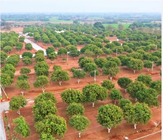 Residential Land for Sale in JSR Capital II, Yadagirigutta , Hyderabad