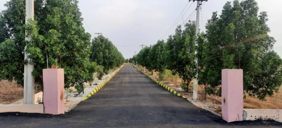 Residential Land for Sale in Prakash Suradru, Rudraram , Hyderabad