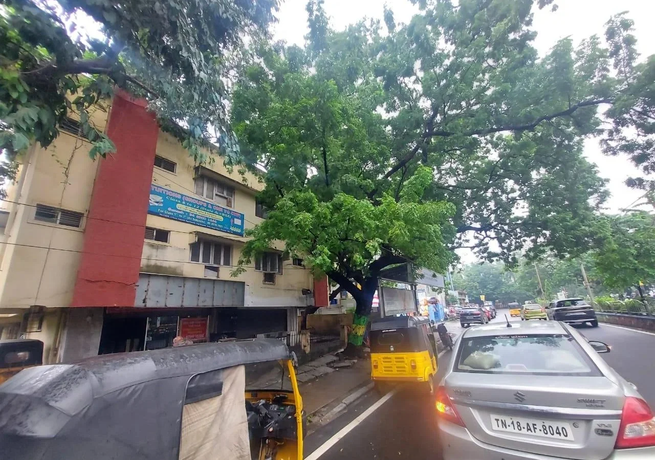 Commercial Land for Sale in Anna Nagar, Chennai