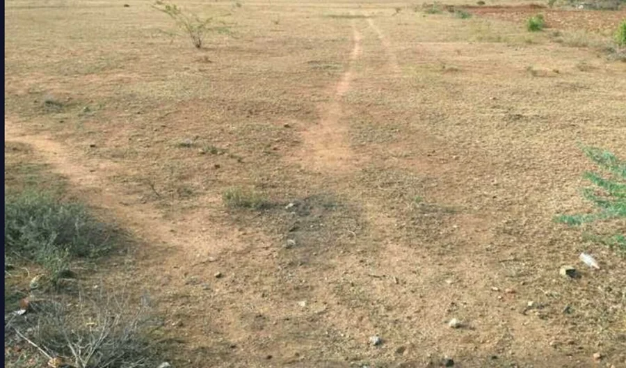 Residential Land for Sale in Merusri Swamy Orchards, Devanahalli, Bangalore