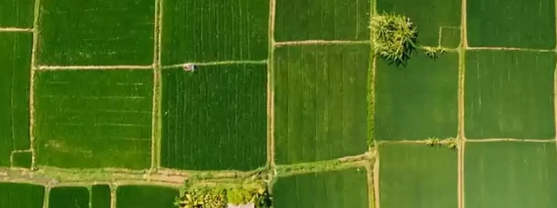 Residential Land for Sale in Arvind Highgrove, Sanand, Ahmedabad