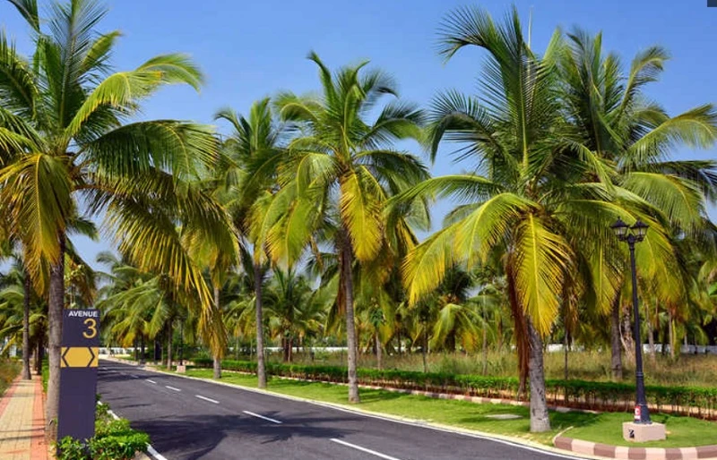 Residential Land for Sale in Chartered Windsong Phase 2, Anighatta, Bangalore