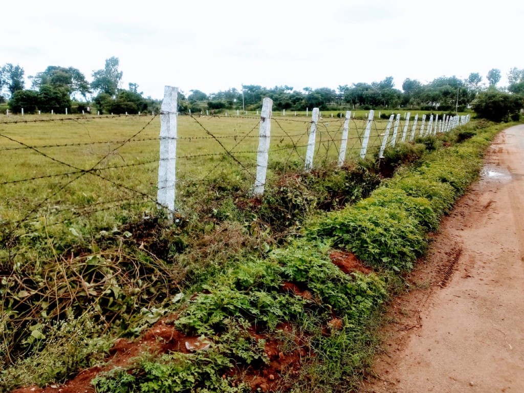 Commercial Land for Sale in Denkanikottai, Hosur