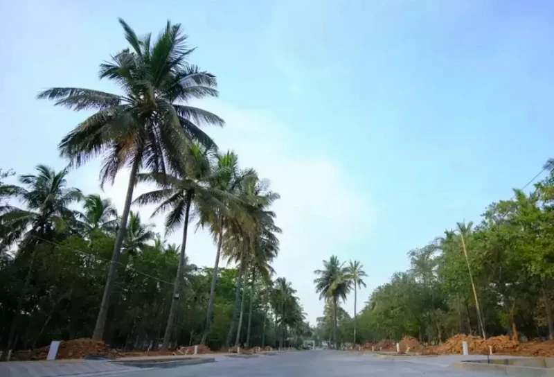 Residential Land for Sale in Sarjapur Road, Bangalore