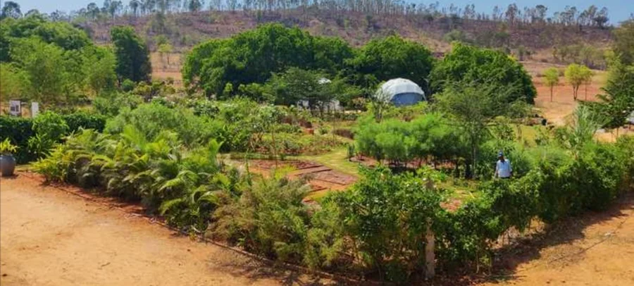 Residential Land for Sale in Rewild Doddaballapura, Doddaballapur, Bangalore