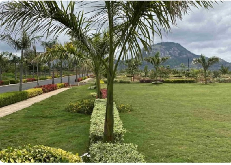 Residential Land for Sale in Sammys Palm hills, Devanahalli, Bangalore