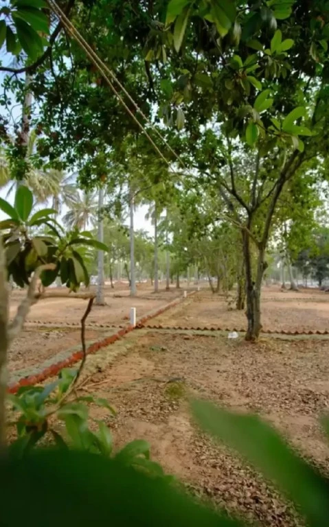 Residential Land  for Sale  in DRA Ranka PalmLakeside, Sarjapur Road, Bangalore