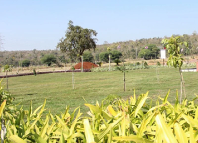 Residential Land for Sale in Fortune Golden Panorama, Rojda Chak   , Bhopal
