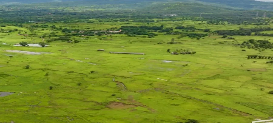 Residential Land for Sale in Kalpataru Aria, Karjat, Thane