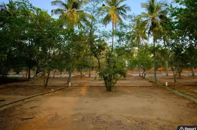 Residential Land for Sale in DRA Ranka Palm Lakeside, Sarjapur Road, Bangalore